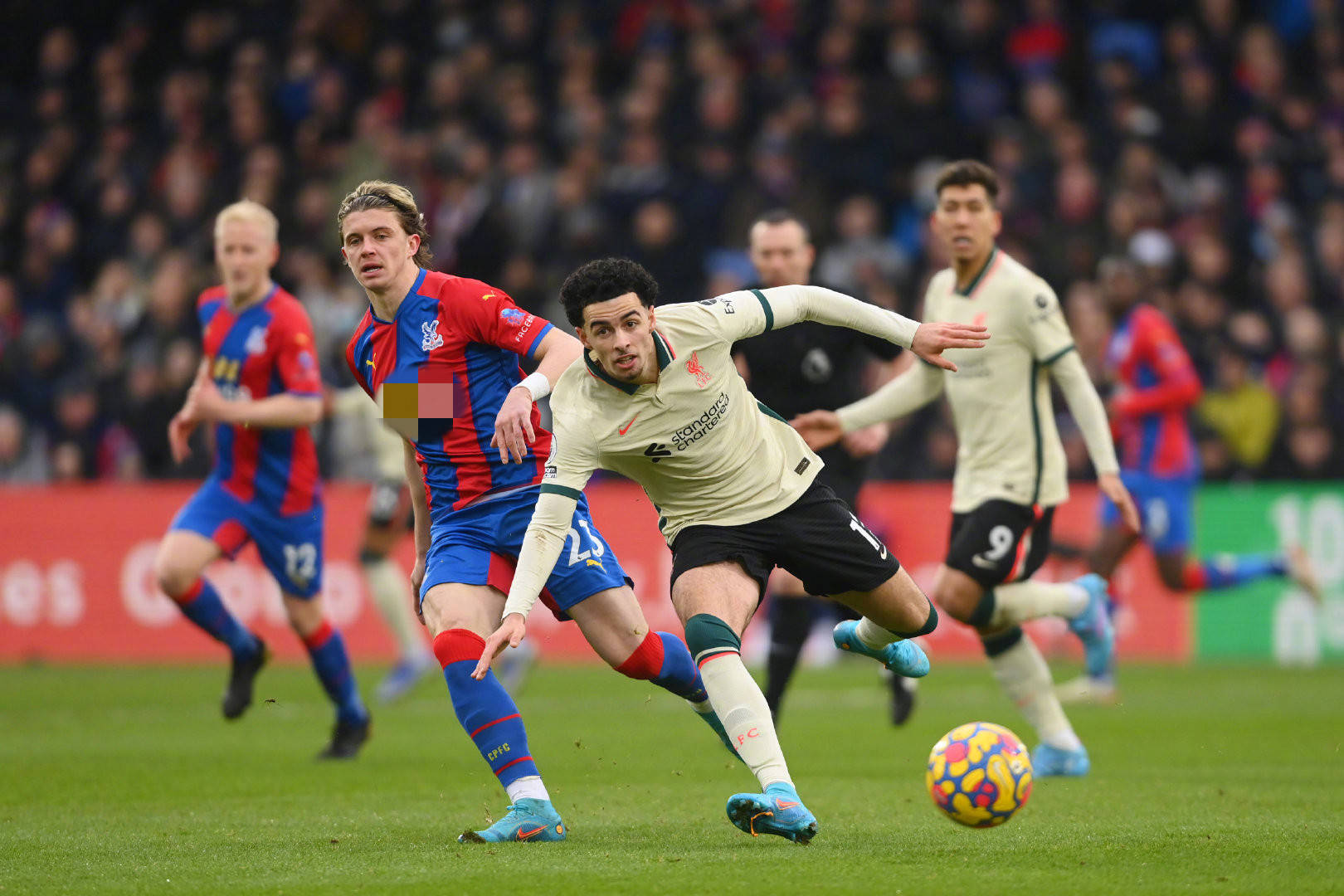 他们在加盟 他们在加盟