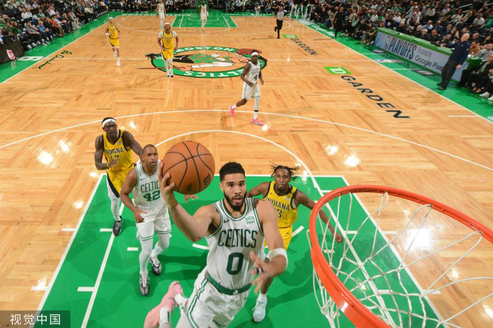 他们不仅不 他们不仅不